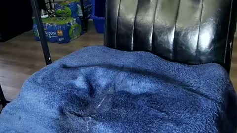 Snapshot of fat_fabulous1981 chatting on February 1, 2025, 12:51 am Sarah online show from February 1, 2025, 12:51 am