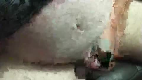 fatdaddy4you online show from September 20, 2025, 3:35 pm