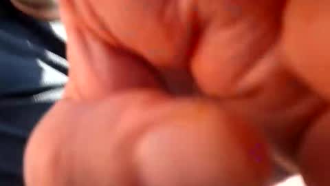 fatso21 online show from March 4, 2025, 12:33 pm