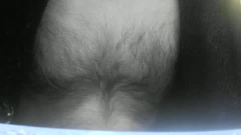 feardubh online show from February 10, 2025, 9:04 am