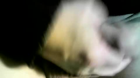 felicaste online show from February 9, 2025, 3:01 pm