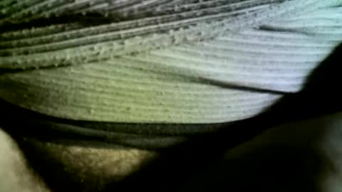 felicaste online show from February 14, 2025, 9:24 am