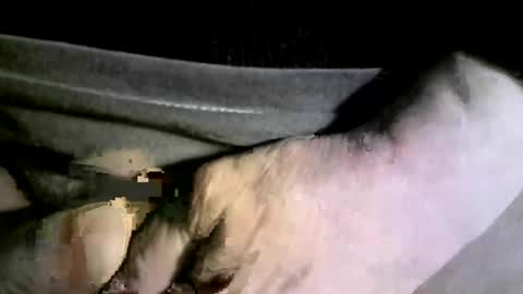 felicaste online show from February 17, 2025, 4:20 am