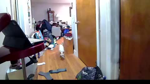 Snapshot of felicitybliss29 chatting on November 6, 2025, 4:24 am felicitybliss29 online show from November 6, 2025, 4:24 am