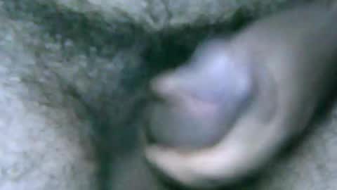 Snapshot of fer_2197 chatting on December 28, 2024, 1:17 pm fer_2197 online show from December 28, 2024, 1:17 pm