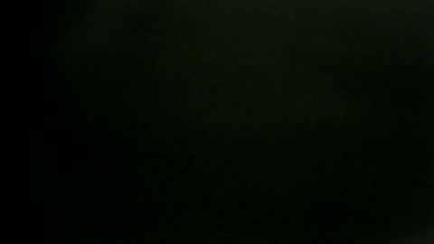 Snapshot of ferrus_manus chatting on January 19, 2025, 4:44 am ferrus_manus online show from January 19, 2025, 4:44 am