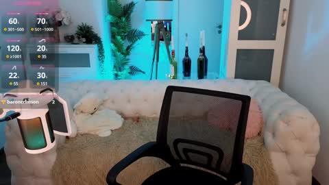 ferry_tail online show from February 1, 2025, 1:41 pm