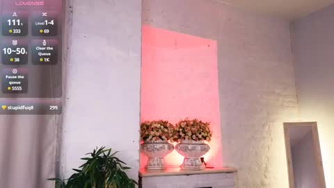 ferry_tail online show from February 28, 2025, 4:53 pm