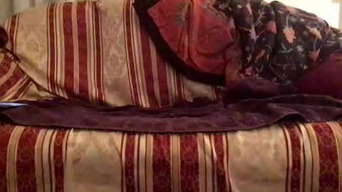 Snapshot of fiii87 chatting on February 12, 2025, 10:26 pm fiii87 online show from February 12, 2025, 10:26 pm