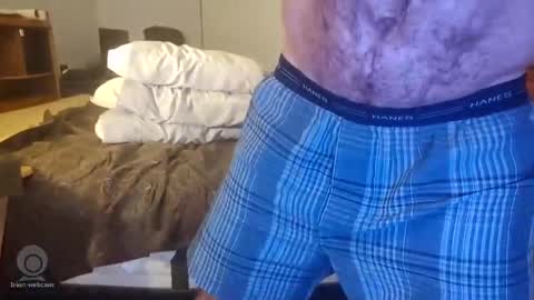 filfaonyx online show from February 13, 2025, 10:12 am