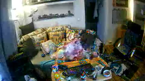 fips1981 online show from November 21, 2025, 6:56 am