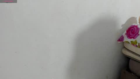 Snapshot of fire_lovex chatting on May 12, 2026, 8:22 am fire lovex online show from May 12, 2026, 8:22 am