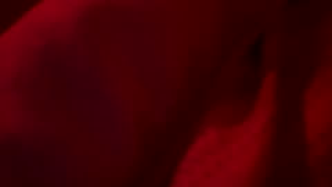 Snapshot of firsttime_freak chatting on May 23, 2026, 7:46 am FirstTimeFeak online show from May 23, 2026, 7:46 am