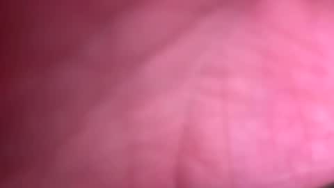 Snapshot of fittallhungdilf chatting on December 20, 2024, 3:42 pm fittallhungdilf online show from December 20, 2024, 3:42 pm