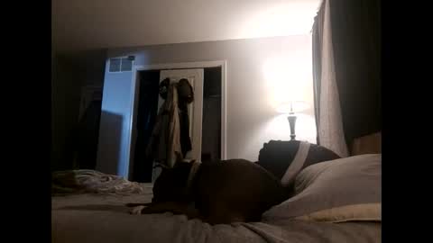 Snapshot of fkmylife6669 chatting on November 2, 2025, 4:48 am Nate online show from November 2, 2025, 4:48 am