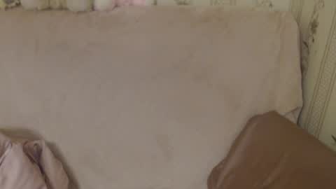 Snapshot of flowercandydoll chatting on May 18, 2026, 3:29 pm say meow and send tip online show from May 18, 2026, 3:29 pm