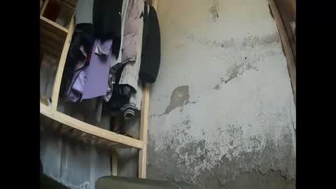 flowers555 online show from February 6, 2025, 8:07 am