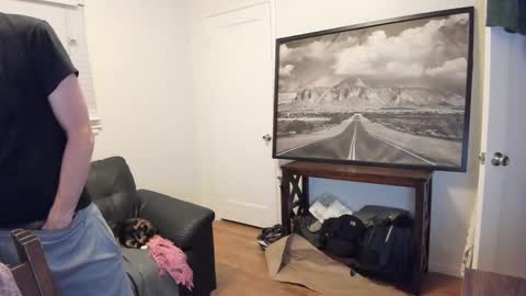 bulge vpl online show from September 27, 2025, 5:56 am