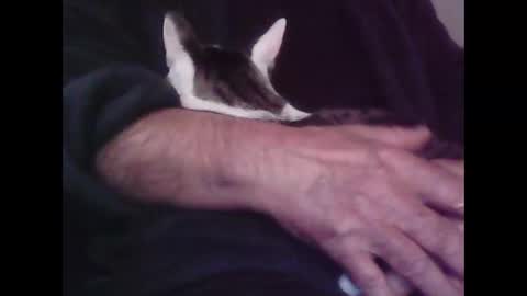 Hooz2no online show from October 12, 2025, 12:53 am