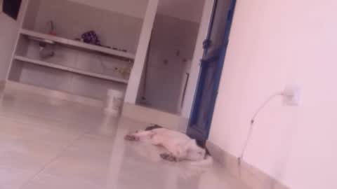 emely and felix online show from December 27, 2024, 10:05 pm