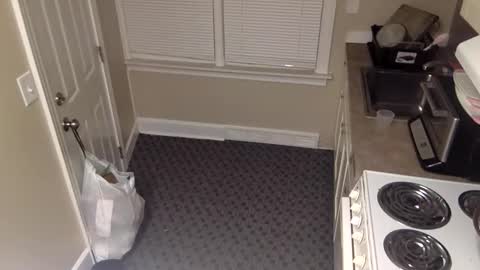 foxdarling96 online show from December 20, 2025, 5:36 am