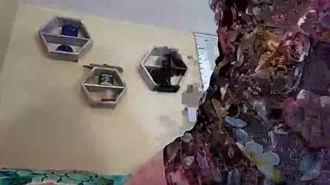 foxyanjel online show from October 27, 2025, 4:00 pm