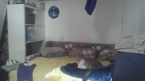 frcokin online show from April 3, 2026, 12:25 pm