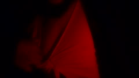 Snapshot of freaky_d48 chatting on November 12, 2025, 9:32 am freaky_d48 online show from November 12, 2025, 9:32 am