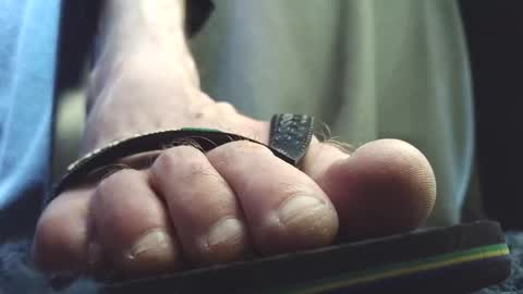 Greedy Fred online show from February 8, 2026, 3:37 pm