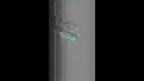 fredy621268 online show from April 18, 2026, 10:19 am