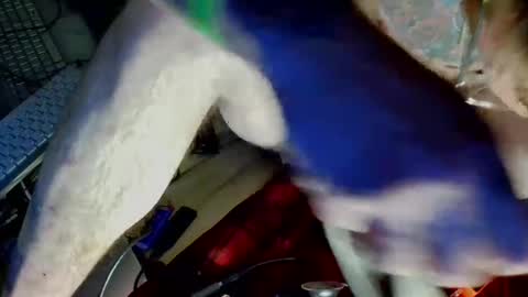 Snapshot of freeman2doyou2 chatting on December 22, 2024, 8:16 am freeman2doyou2 online show from December 22, 2024, 8:16 am