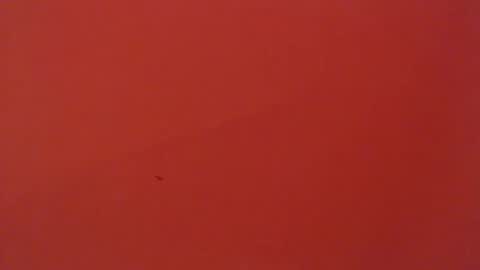 FREYJA LOREN online show from February 6, 2025, 5:14 am