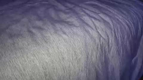 Snapshot of freythegemini chatting on January 7, 2025, 3:46 am FreyaTheGemini online show from January 7, 2025, 3:46 am