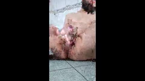 friendshipplus online show from February 25, 2026, 7:40 am