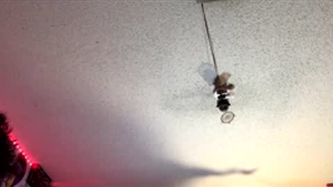 Snapshot of frozen232 chatting on April 1, 2026, 7:53 am Fabian online show from April 1, 2026, 7:53 am