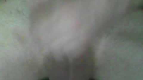 Snapshot of fryboxxxxx chatting on July 2, 2026, 5:41 pm fry online show from July 2, 2026, 5:41 pm