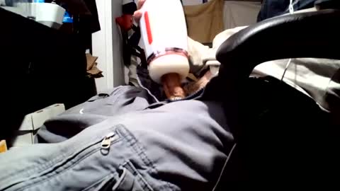 Snapshot of fuckmeallday1975 chatting on July 18, 2026, 7:45 am fuckmeallday1975 online show from July 18, 2026, 7:45 am