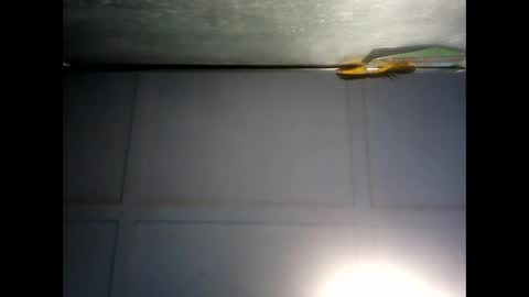 Snapshot of fucmebudoo chatting on December 3, 2024, 7:21 am Warwick online show from December 3, 2024, 7:21 am