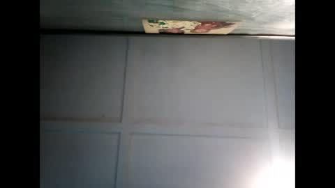 Snapshot of fucmebudoo chatting on December 11, 2024, 7:31 am Warwick online show from December 11, 2024, 7:31 am