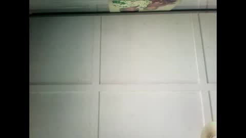 Snapshot of fucmebudoo chatting on December 17, 2024, 3:28 am Warwick online show from December 17, 2024, 3:28 am