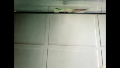 Snapshot of fucmebudoo chatting on December 19, 2024, 2:56 am Warwick online show from December 19, 2024, 2:56 am