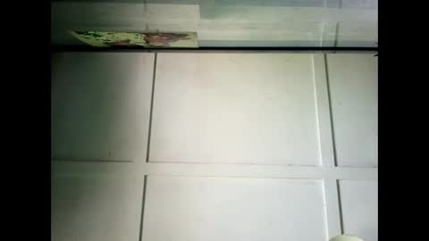 Snapshot of fucmebudoo chatting on December 23, 2024, 2:24 am Warwick online show from December 23, 2024, 2:24 am