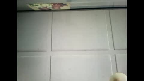 Snapshot of fucmebudoo chatting on December 29, 2024, 2:38 am Warwick online show from December 29, 2024, 2:38 am