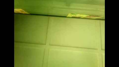 Snapshot of fucmebudoo chatting on January 7, 2025, 5:43 am Warwick online show from January 7, 2025, 5:43 am