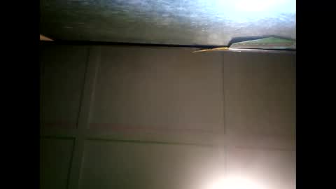 Snapshot of fucmebudoo chatting on January 11, 2025, 9:47 am Warwick online show from January 11, 2025, 9:47 am