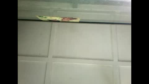 Snapshot of fucmebudoo chatting on January 14, 2025, 6:24 am Warwick online show from January 14, 2025, 6:24 am