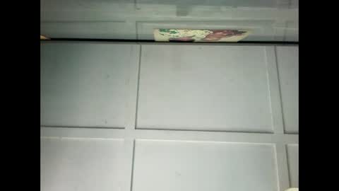 Snapshot of fucmebudoo chatting on January 15, 2025, 12:09 am Warwick online show from January 15, 2025, 12:09 am