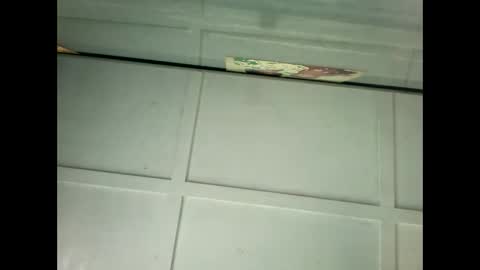 Snapshot of fucmebudoo chatting on January 18, 2025, 11:55 pm Warwick online show from January 18, 2025, 11:55 pm