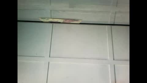 Snapshot of fucmebudoo chatting on January 20, 2025, 12:04 am Warwick online show from January 20, 2025, 12:04 am