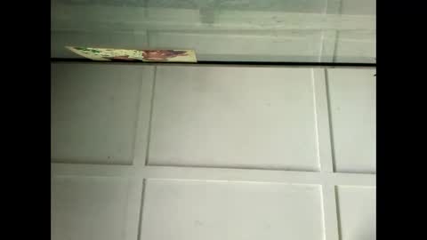 Snapshot of fucmebudoo chatting on January 29, 2025, 4:05 am Warwick online show from January 29, 2025, 4:05 am